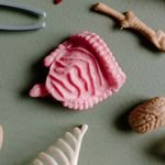 Flat lay of various educational plastic anatomy models including organs and bones for study.